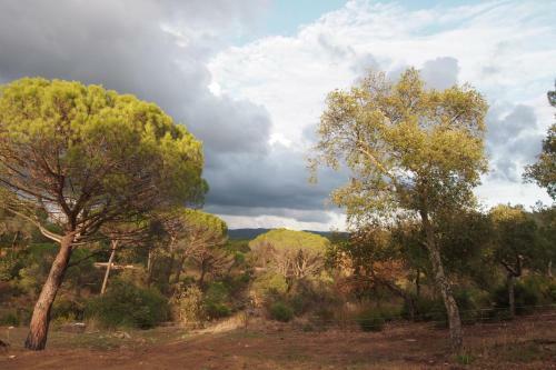 Bed & Breakfast Le Mas Du Rouquan