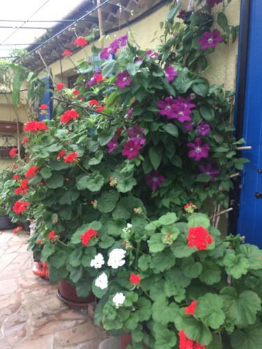 Bed & Breakfast Le Mas Du Rouquan