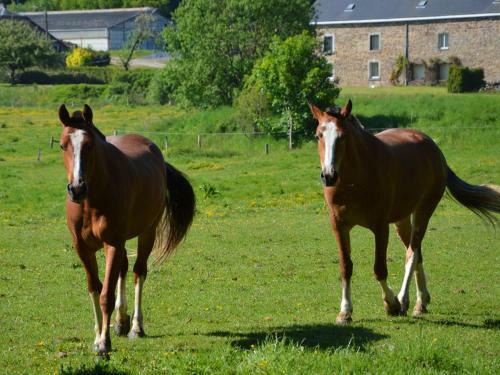 Holiday Home La Hetraie Roumont