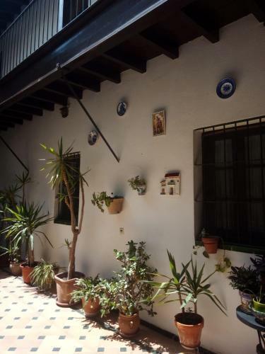 Apartamento En Puente Triana
