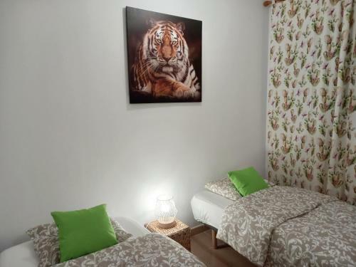Apartamento Greenhouse