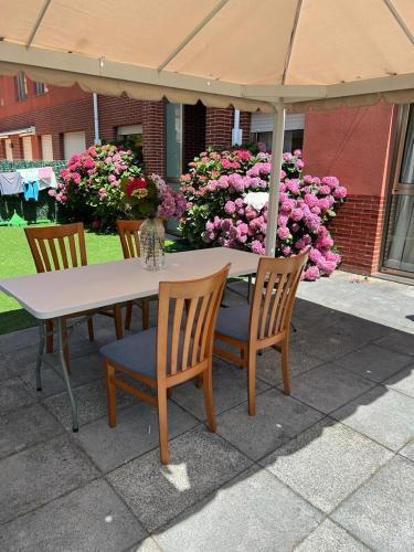 Apartamento En Playa Con Jard�n