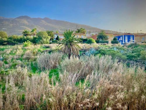 Apartamento El Peque�o Descanso