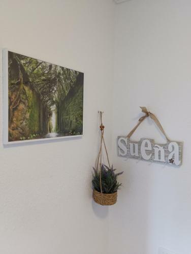 Apartamento Acogedor Vistas Piscina Y Teide