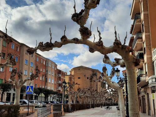 Apartamento Villa- Belen