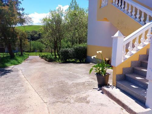 Las Tres Mimosas