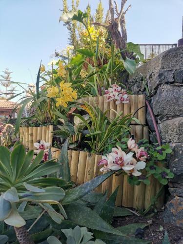 Finca Vistas Al Teide Con Jacuzzi, Wifi Y Tv Sat�lite
