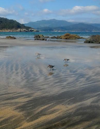 Casa El Rosedal De Galicia Norte