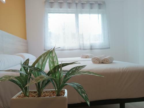 Apartamentos Tur�sticos Pontepedri�a By Bossh! Hotels