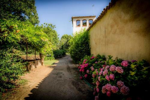 Apartamento Agroturisme Can Burgu�s