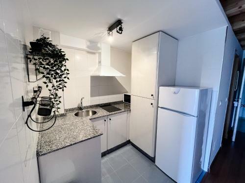 Apartamentos Ciudad Santiago