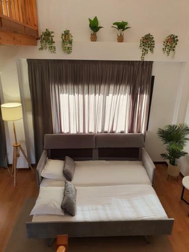 Apartamentos Ciudad Santiago