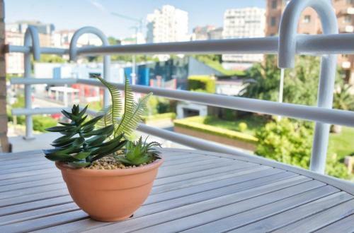 Apartamento Pisos Sardinero