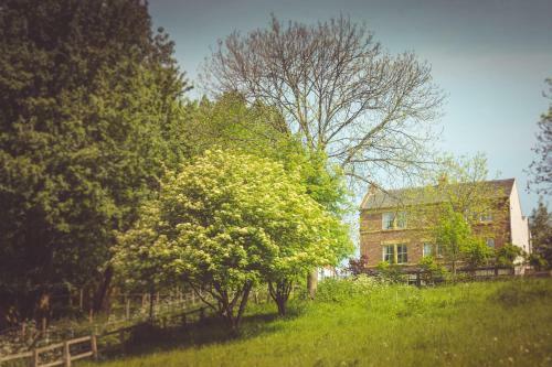 Bed & Breakfast The Cumberland Arms