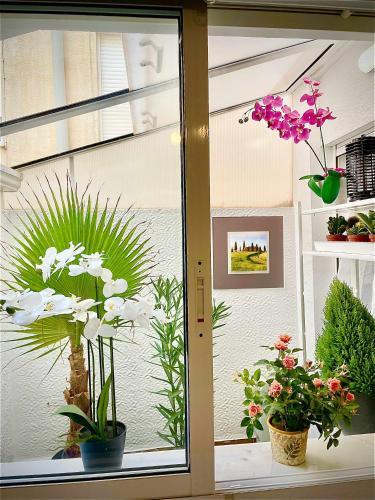 Apartamento Flamingo Gran Alacant