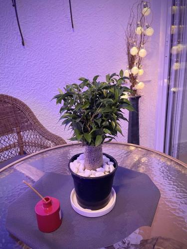 Apartamento Flamingo Gran Alacant