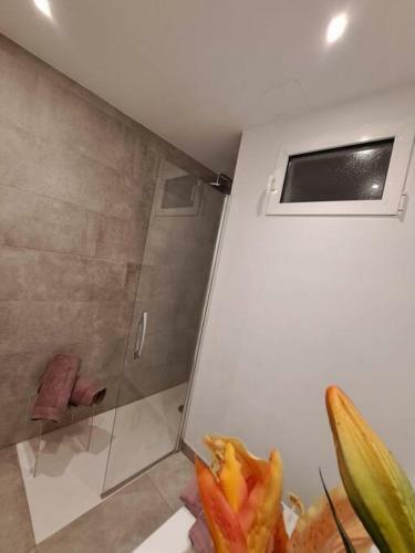 Apartamento Centro Santander