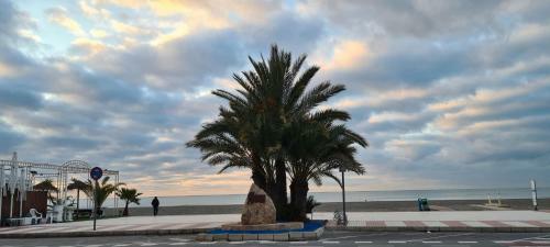 Maison De Plage A Gran Playa