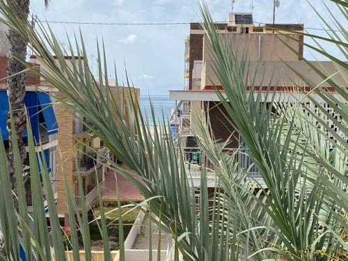 Apartamento Seaside Dreams