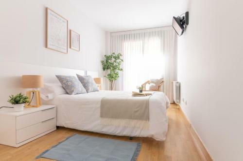 Apartamento Castilla Suit 17
