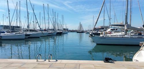 Apartamento Con Vistas A Isla Tabarca