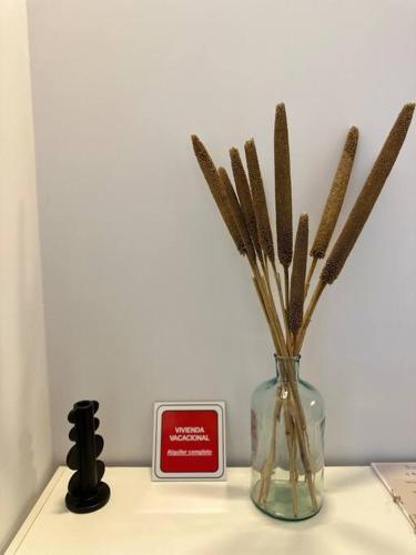 Apartamento It�nere Suit 8