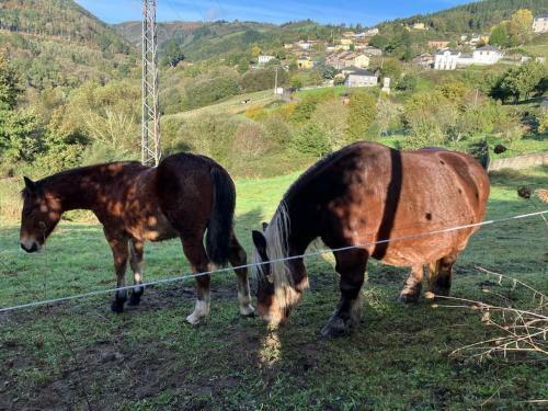 Apartamento A Casa Da Fonte