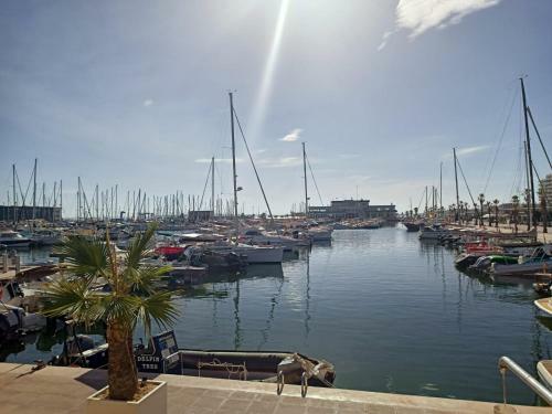 Apartamento Nice Place Santa Pola