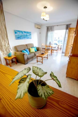 Disfruta De La Playa Y Piscina, Acogedora Casa