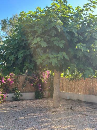 Villa Your Perfect Hideaway Only 5 Minutes From Ibiza