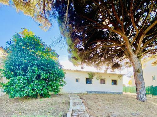 Villa Costa