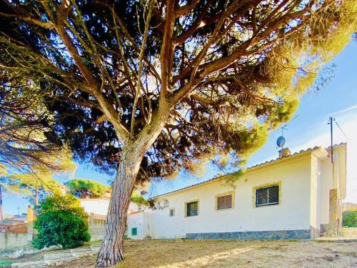 Villa Costa