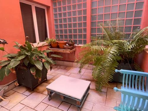 Gomera Isla M�gica