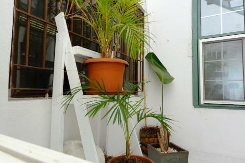 Rooftop Dreamhouse - 3br With Seaviews