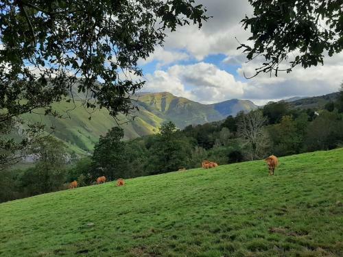 Caba�a Pasiega Lo Lucas 1920