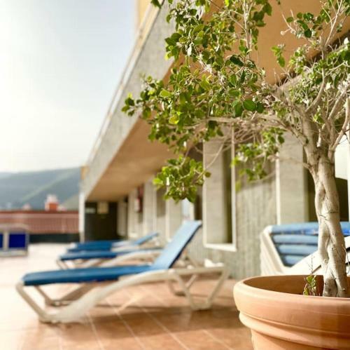 Apartamento The Best Views - La Gomera
