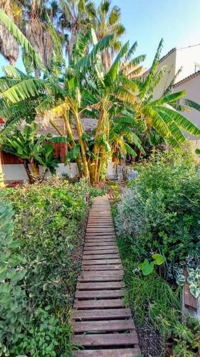 Apartamento Finca Don Pedro