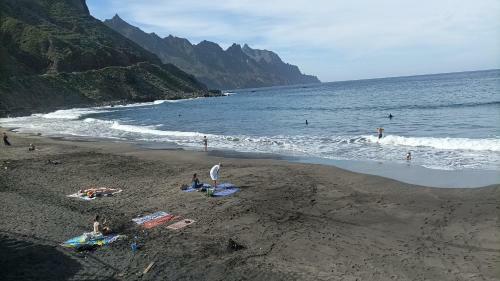 Apartamento Playa Picasso