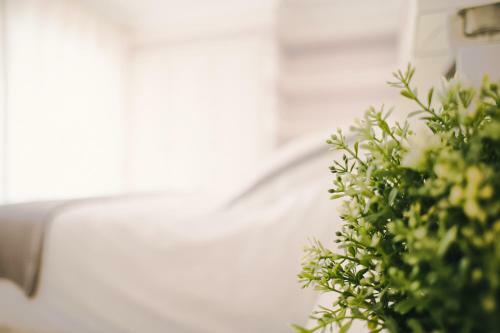 Apartamento Vista Para�so - Doctor Trujillo