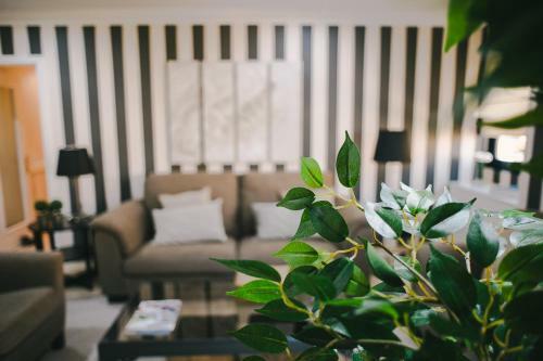 Apartamento Vista Para�so - Doctor Trujillo