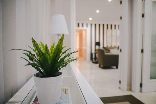 Apartamento Vista Para�so - Doctor Trujillo