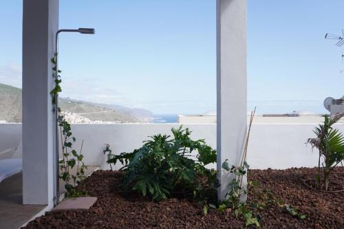 Apartamento Sweet Home Santa Cruz