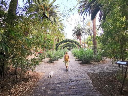 Home2book Stunning & Comfy Apartment Santa Cruz