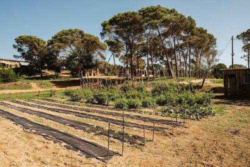 Las Acacias Casa Rural En El Campo
