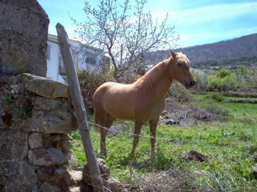 Casa Rural Cristina III