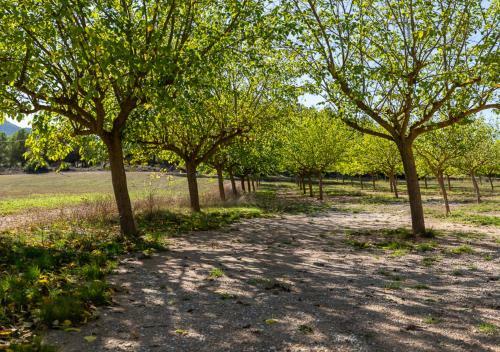 Bed & Breakfast Masia Aubareda