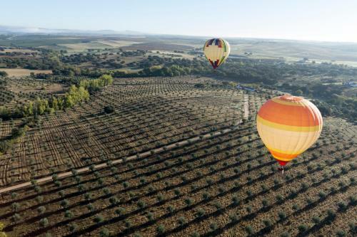 Agroturismo Villa Oliva