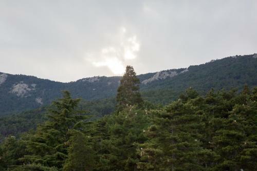 Apartamento Wind Rose 10 - Moderno Duplex A Estrenar