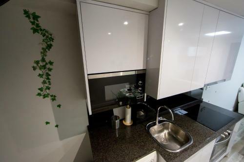 Apartamento Wind Rose 10 - Moderno Duplex A Estrenar