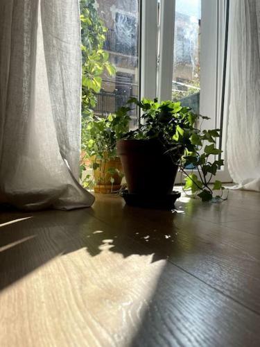 Bella Easo Apartamento